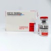 HCG 5000 IU by Unique Pharma